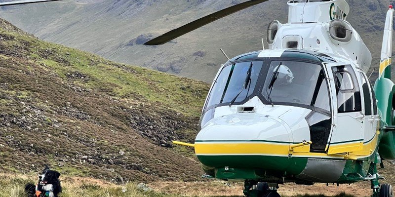 Helicopter and dog in the mountains